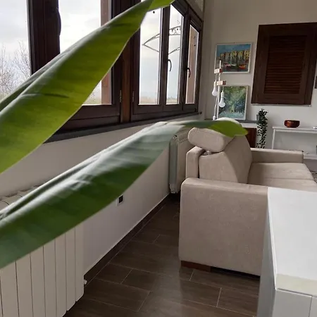 Rosella 2 - Con Piscina - 150 M Dal Mare شقة Casa Margherita